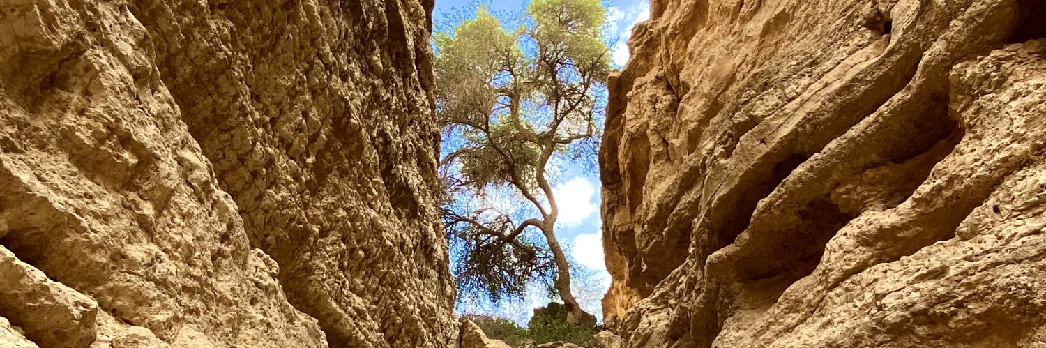 NasserPrø.. ♬ banner