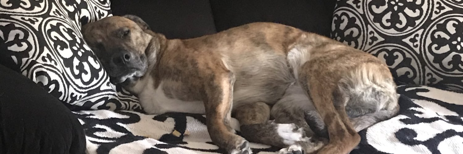 kdnotkathy's profile banner image