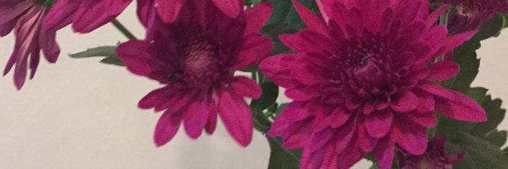Aka055's profile banner image