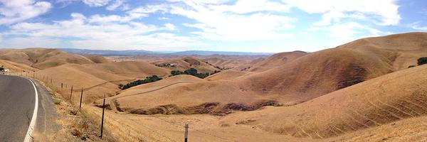 Mymyopia Profile Banner