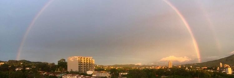 oscardelcid's profile banner image