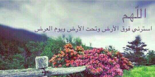 ...... banner