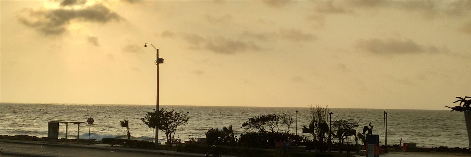 BerinaTp's profile banner image