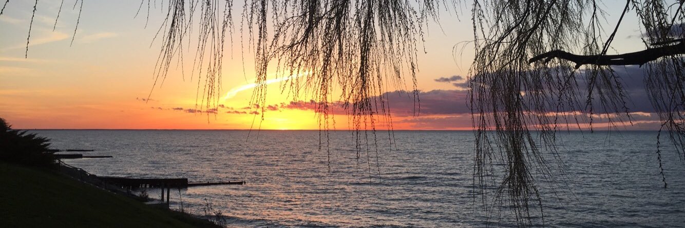 rendesch's profile banner image