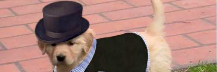 SomeHipsterDude's profile banner image