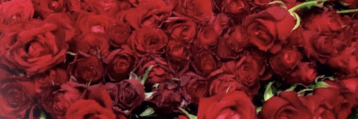 ahukalfa's profile banner image