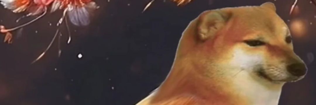 Zerorisac's profile banner image