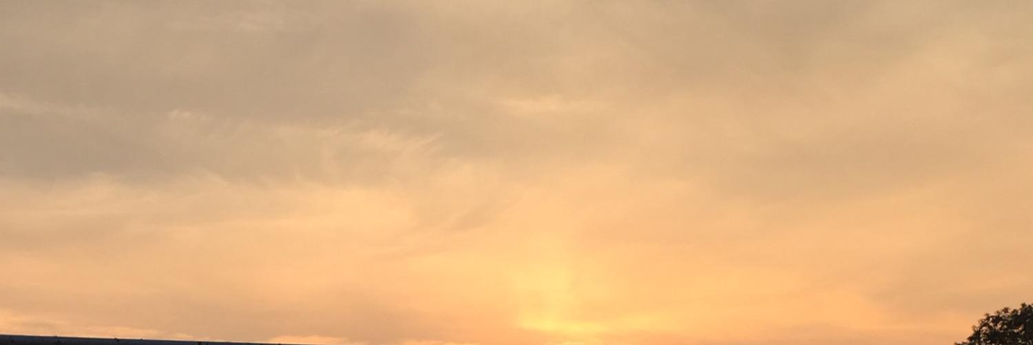 danielm54462503's profile banner image