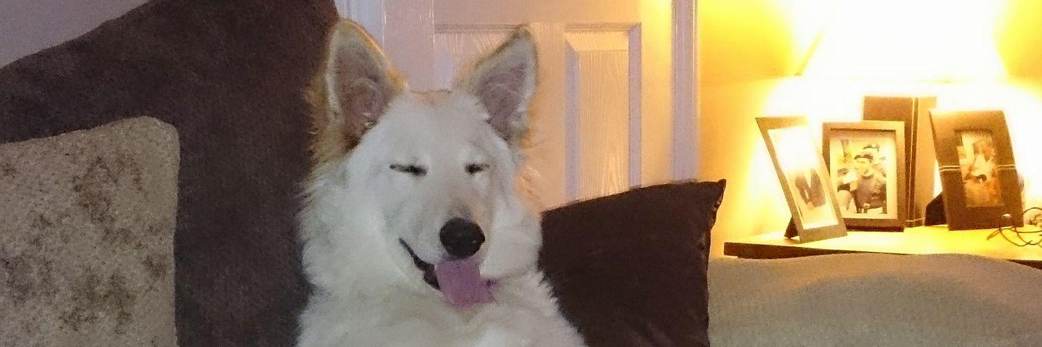 jillybint's profile banner image