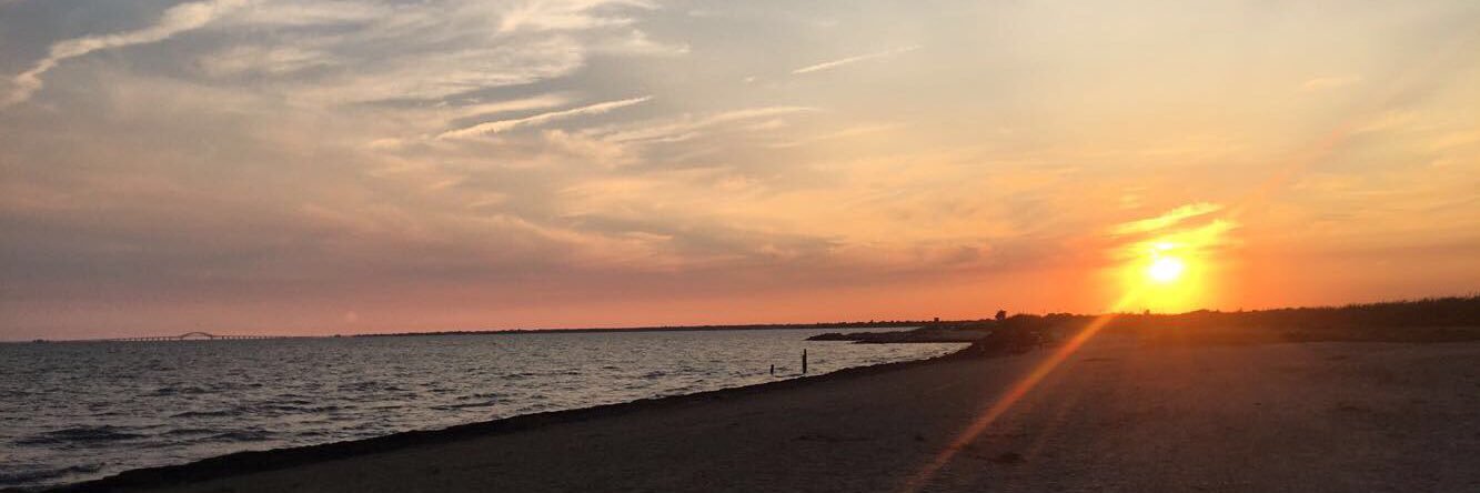 sydneycammeyer's profile banner image