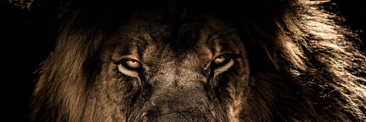 FRESH_IS_IT's profile banner image