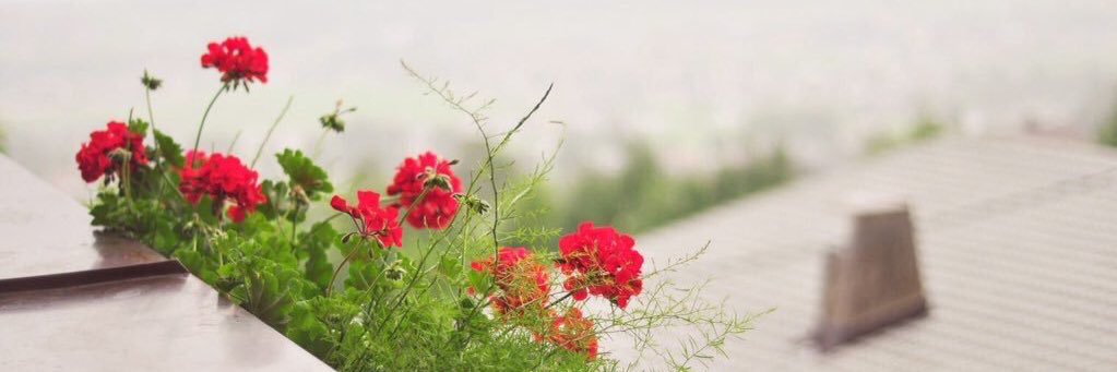 heama15's profile banner image
