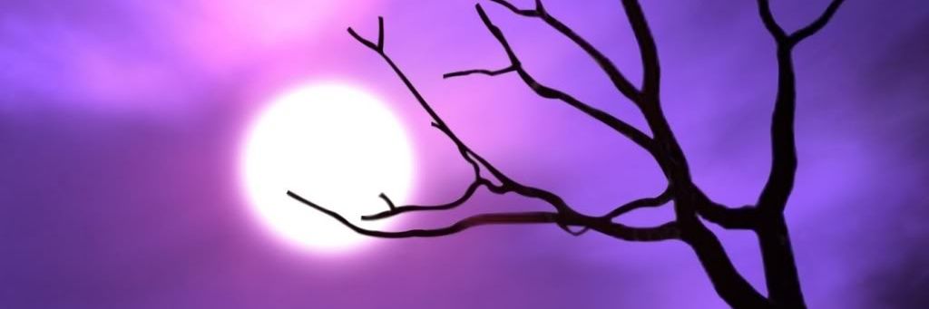 moogh00's profile banner image