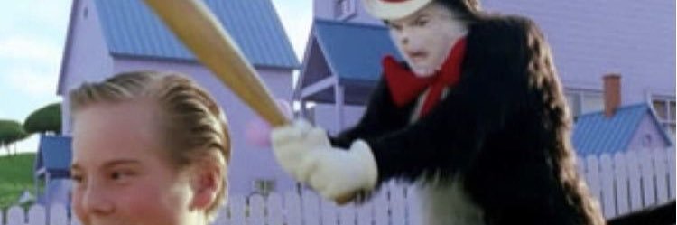 rafaela banner