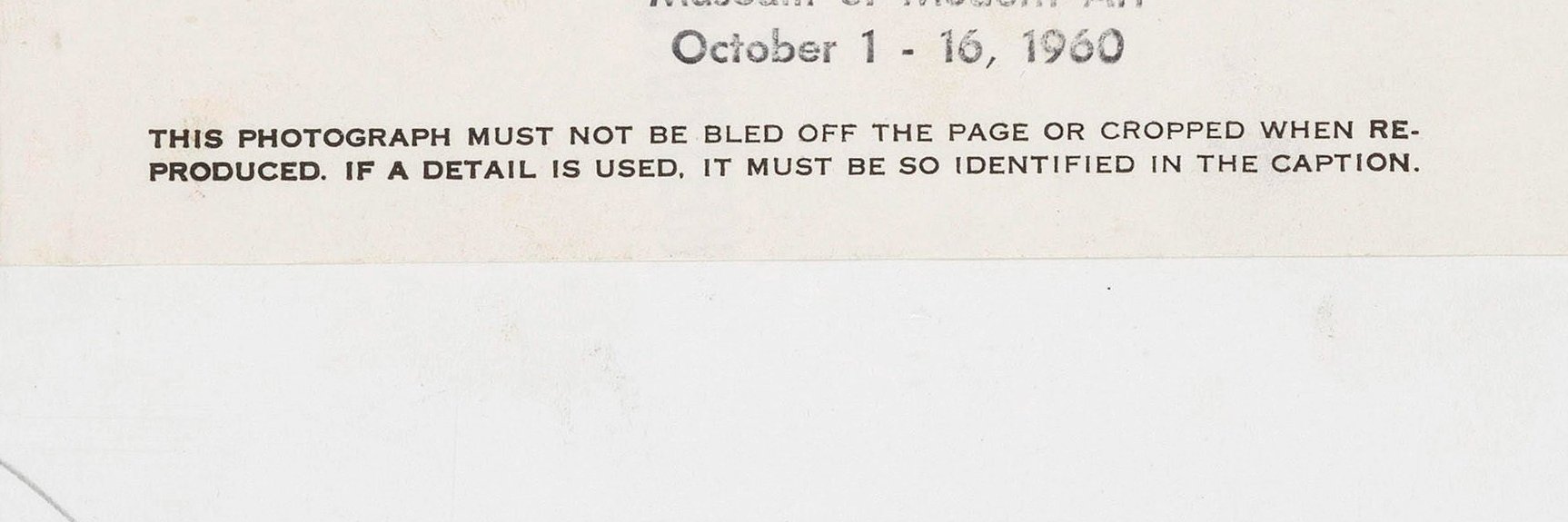 david andrako banner