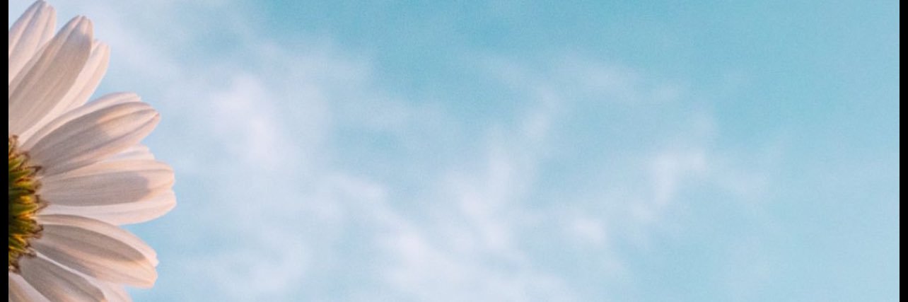 MarahSaab's profile banner image