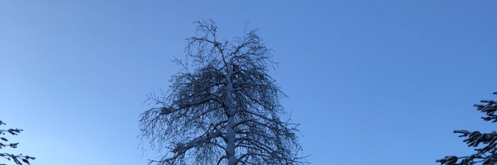 bjom22's profile banner image