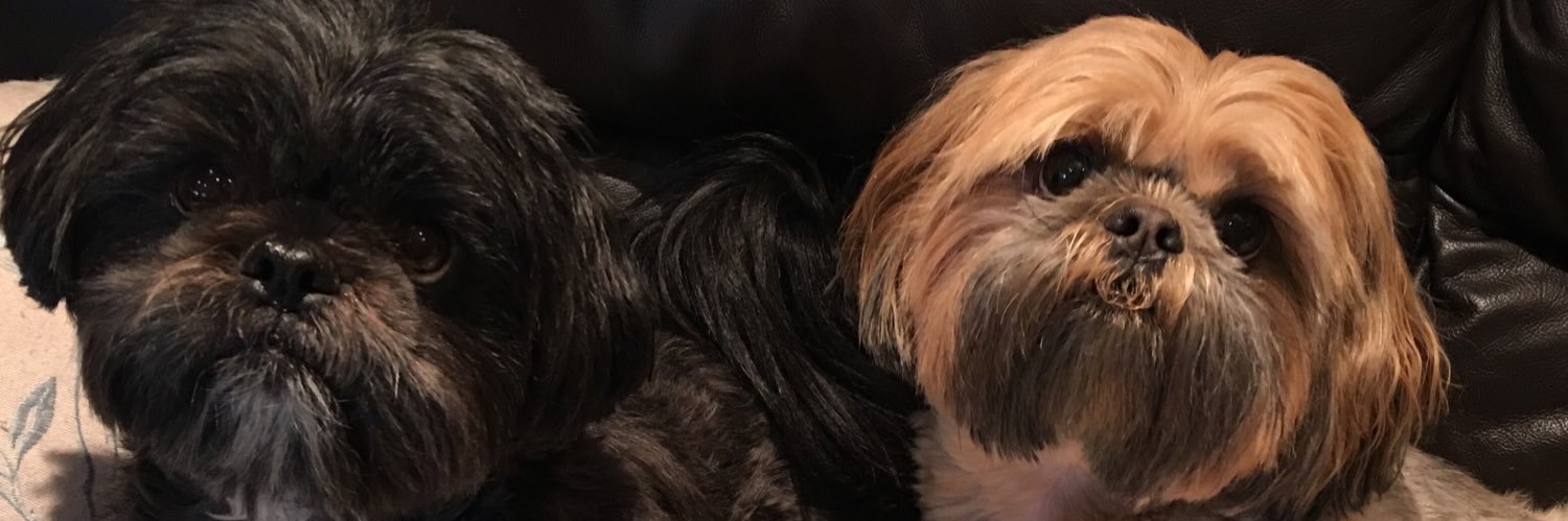 WendyHynan's profile banner image