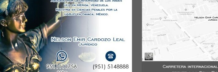 nelson emir cardozol banner