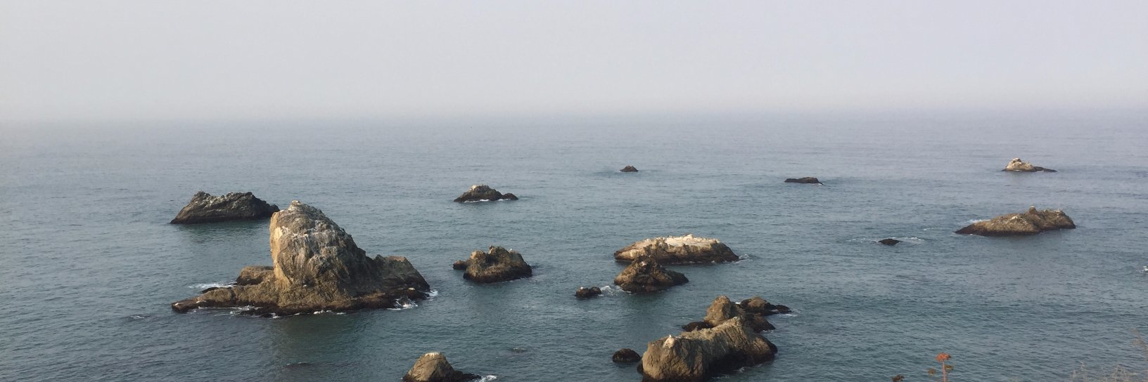 Eli M. Rosenberg banner