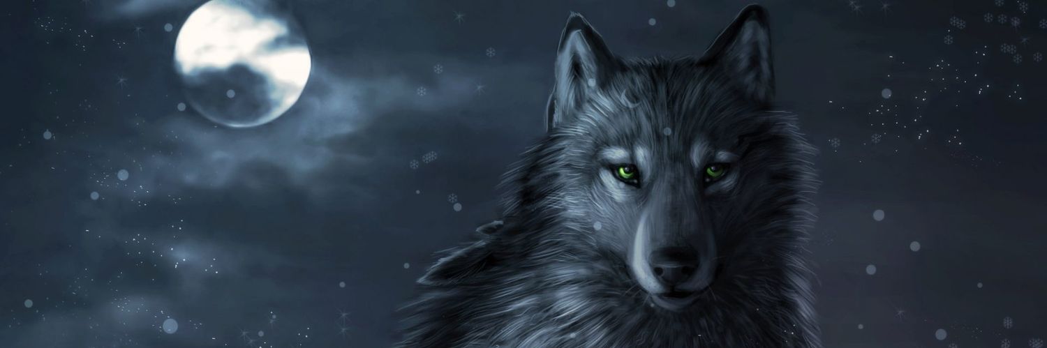 DavidGomez97F's profile banner image