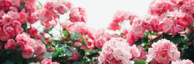 _maryanneb's profile banner image
