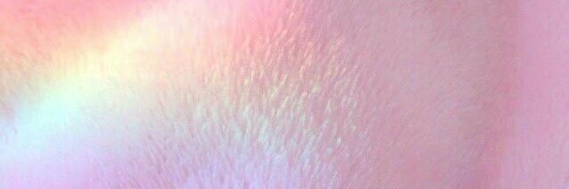 _Ieshaa's profile banner image