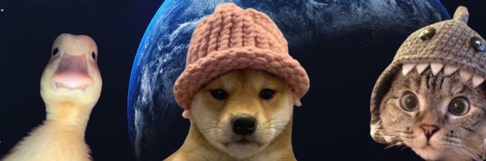 ThatBasicBoyy's profile banner image