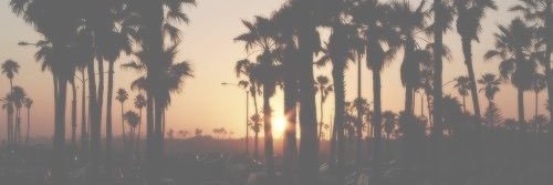 Sher_Bearrr's profile banner image