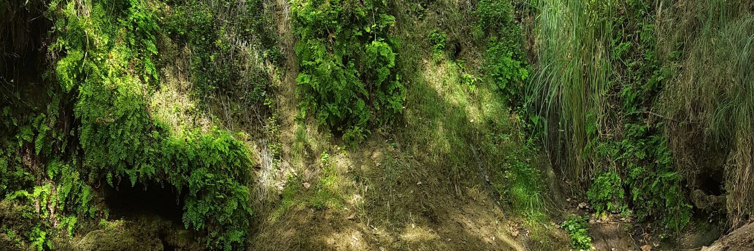 TravisCasey06's profile banner image