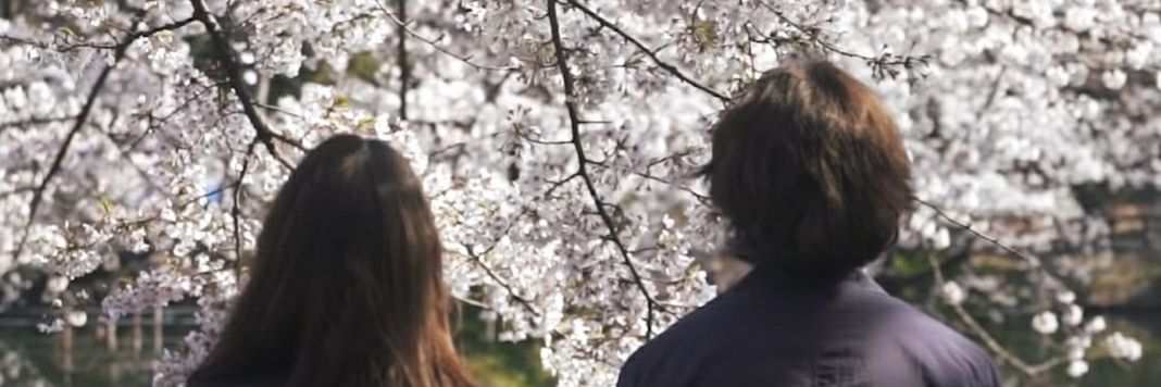 unoounii's profile banner image
