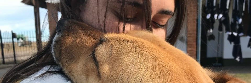GimeBallesio's profile banner image