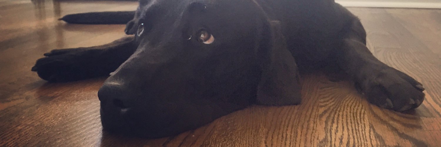 DannyKitzman's profile banner image