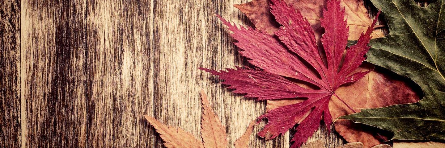 ItsMeWa2n's profile banner image