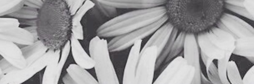 _lisakathleen's profile banner image