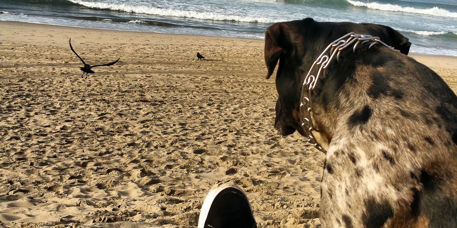 lifeiscrushow's profile banner image