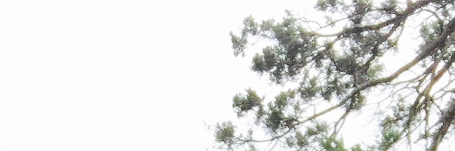 Juan Bonelli banner
