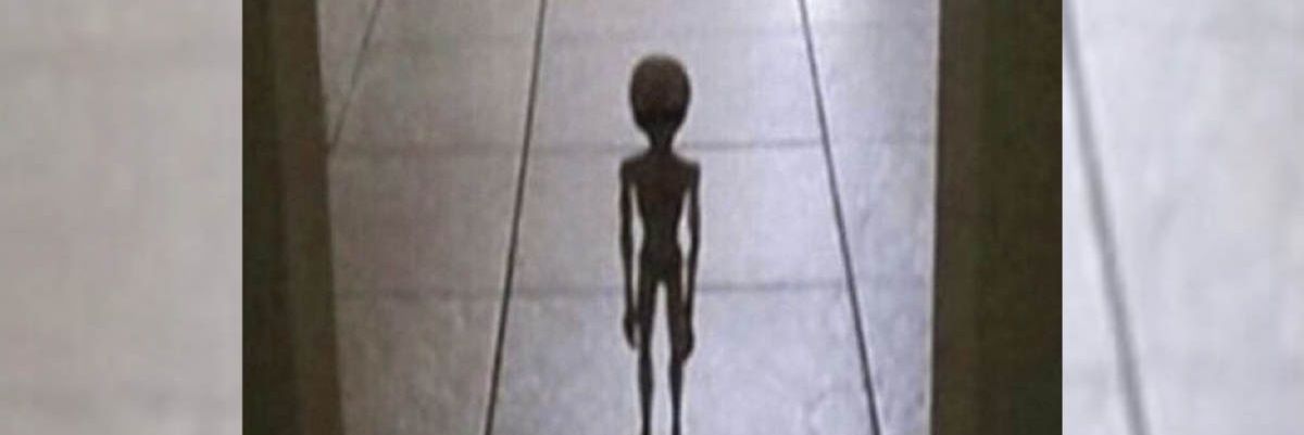 ManOfSimp's profile banner image