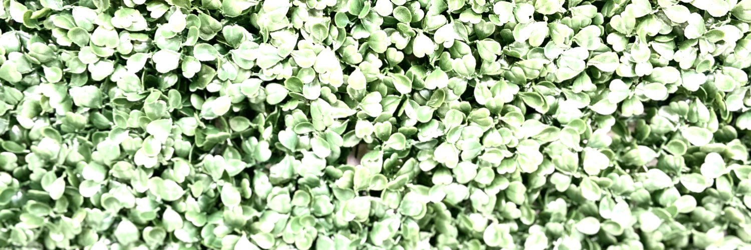 beckstaats's profile banner image