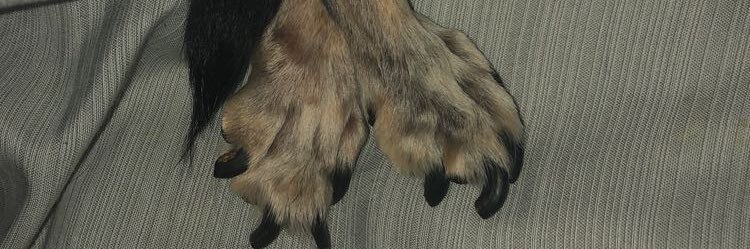 htmlmarissa's profile banner image