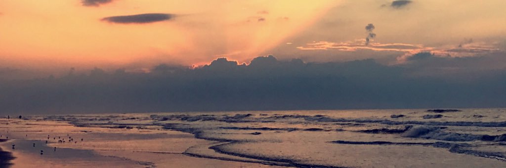 AlexandraVince3's profile banner image