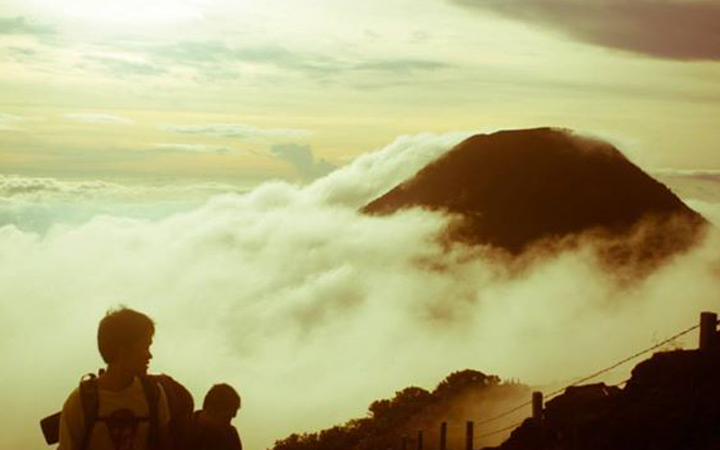 Reginald D Fernando banner