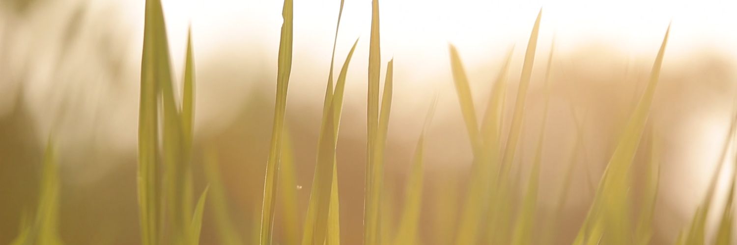 Faizzulfikar's profile banner image