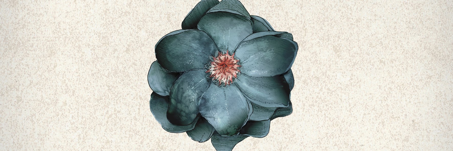 funeralbloom's profile banner image