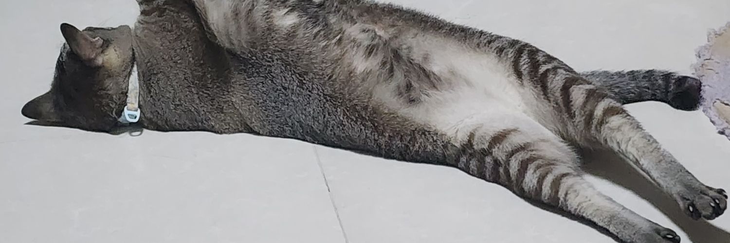 MyMine004's profile banner image