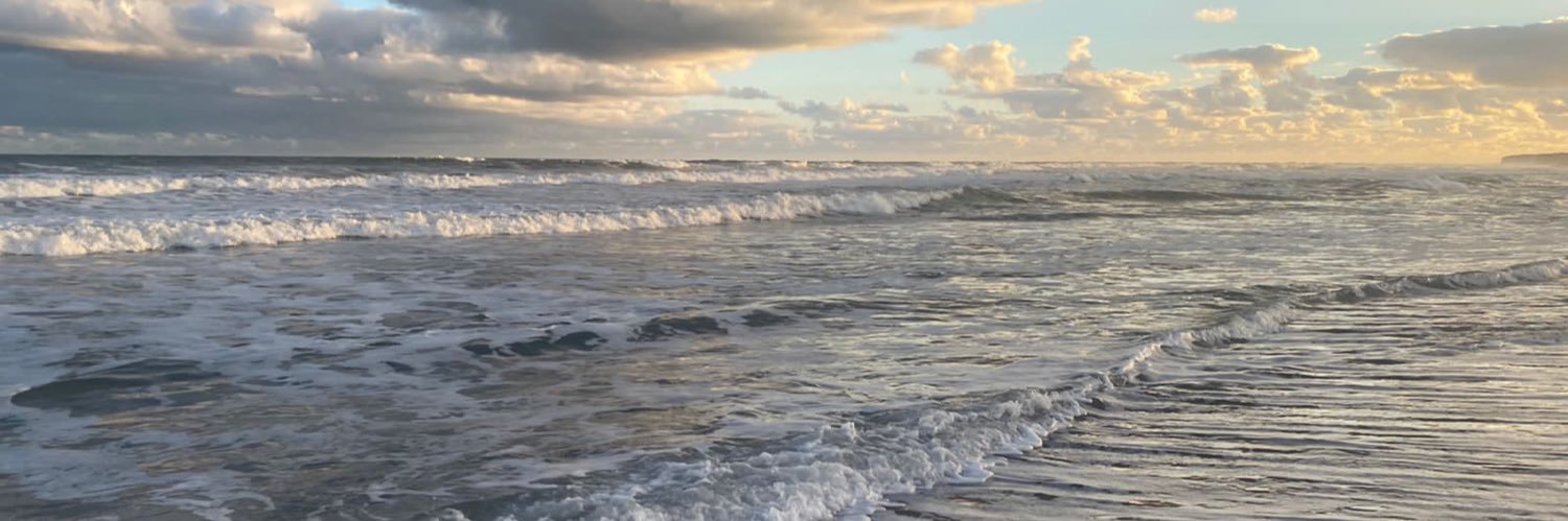 LuliNocentti's profile banner image