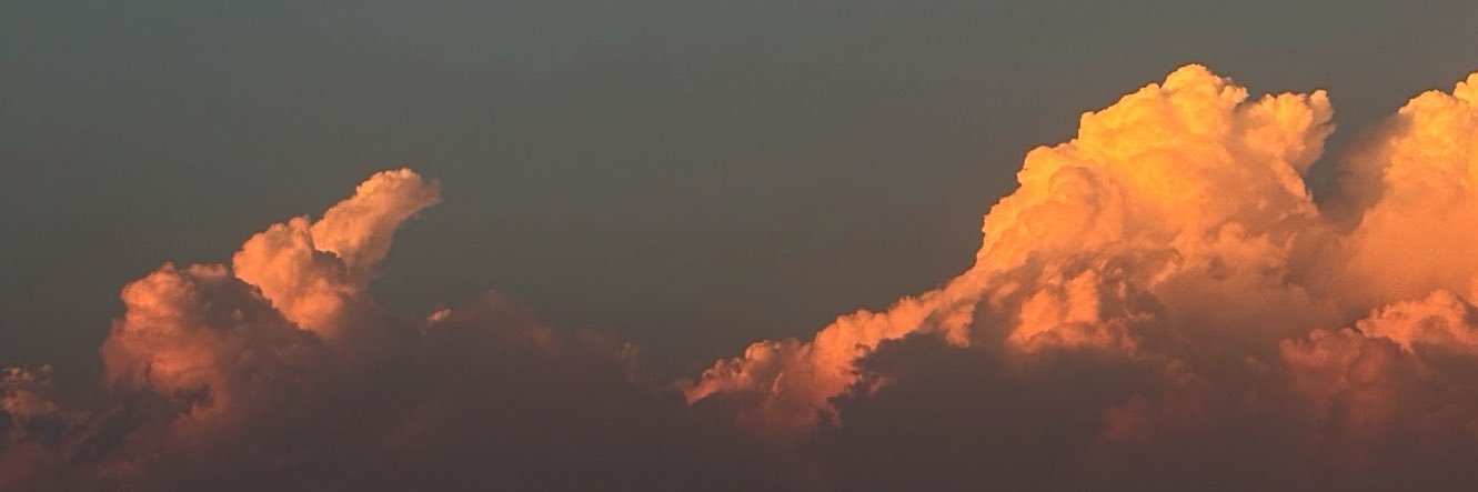 maferredon's profile banner image
