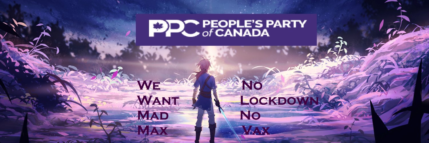 Rinkusgrrl's profile banner image