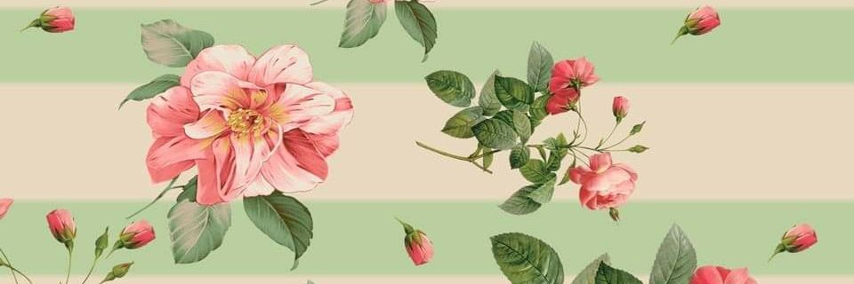 rosem4100's profile banner image