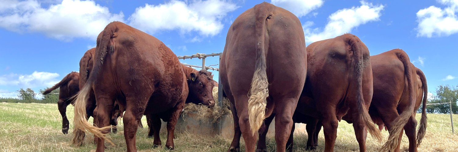 DittishamFarm's profile banner image